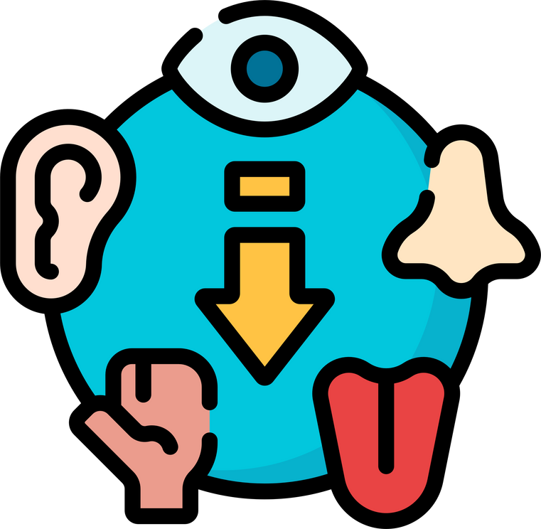 human five senses icon